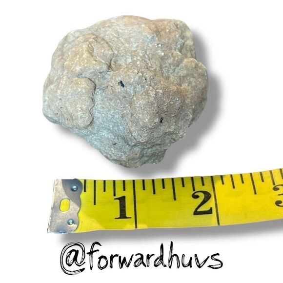 (2) 2”  Raw Tennessee Creek Geode - Break them Yourself - Picture 3 of 7